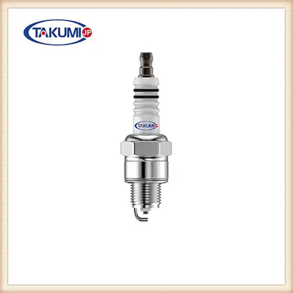 Bosch Double Platinum Spark Plugs