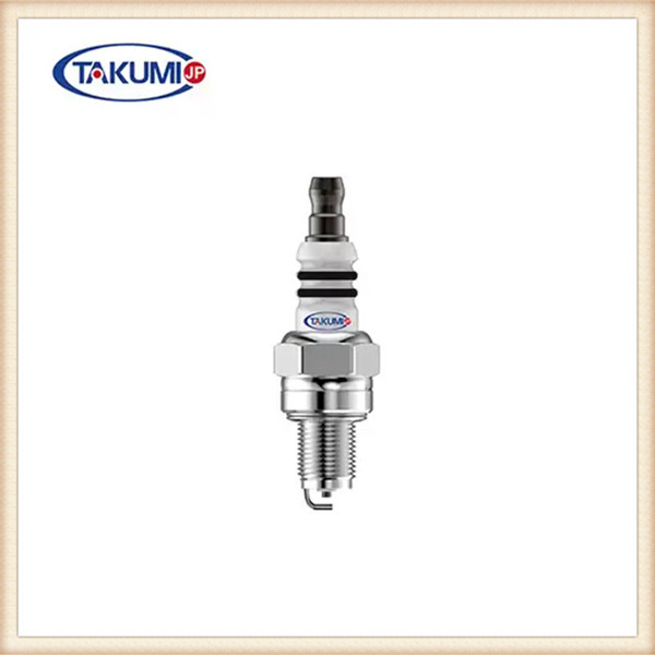 Exactly why are ignition coils and spark plugs crucial?