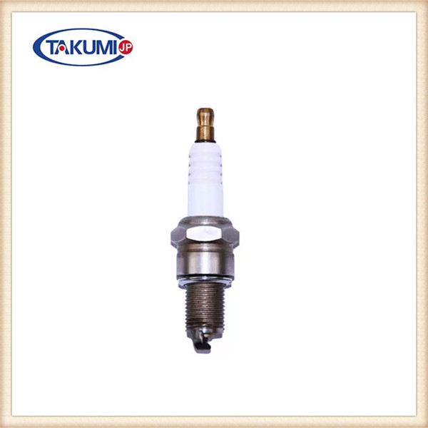 Iridium Spark Plugs