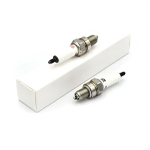 Dual Platinum Ignition Coils